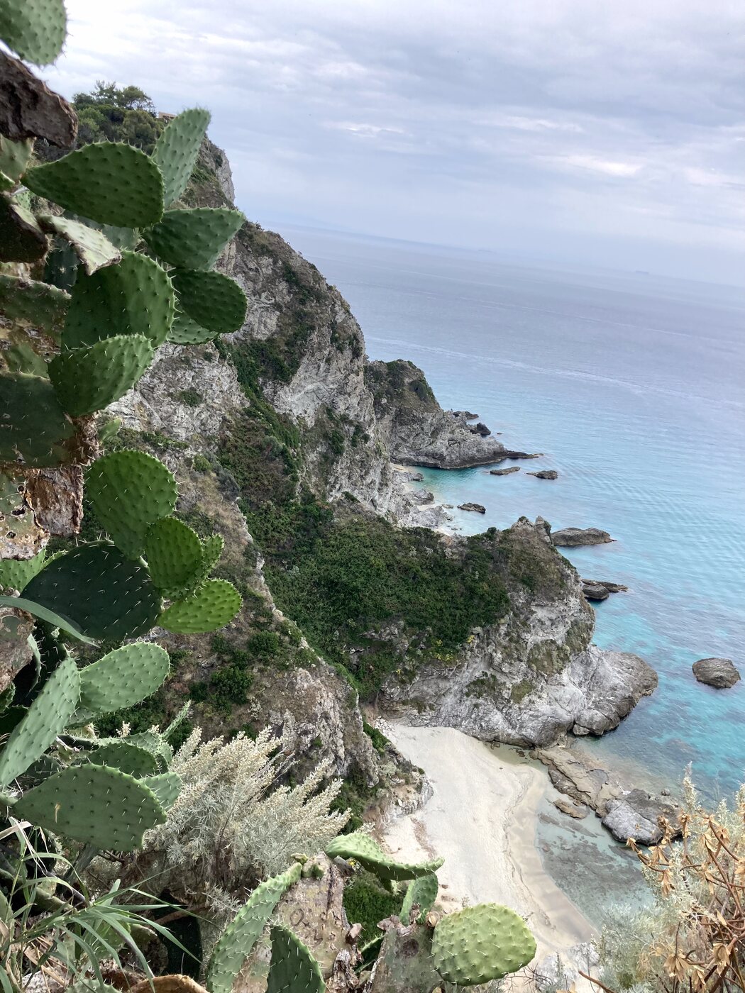 Costa di Capo Vaticano con fichi d'India e mare turchese — Capo Vaticano coastline with prickly pears and turquoise sea