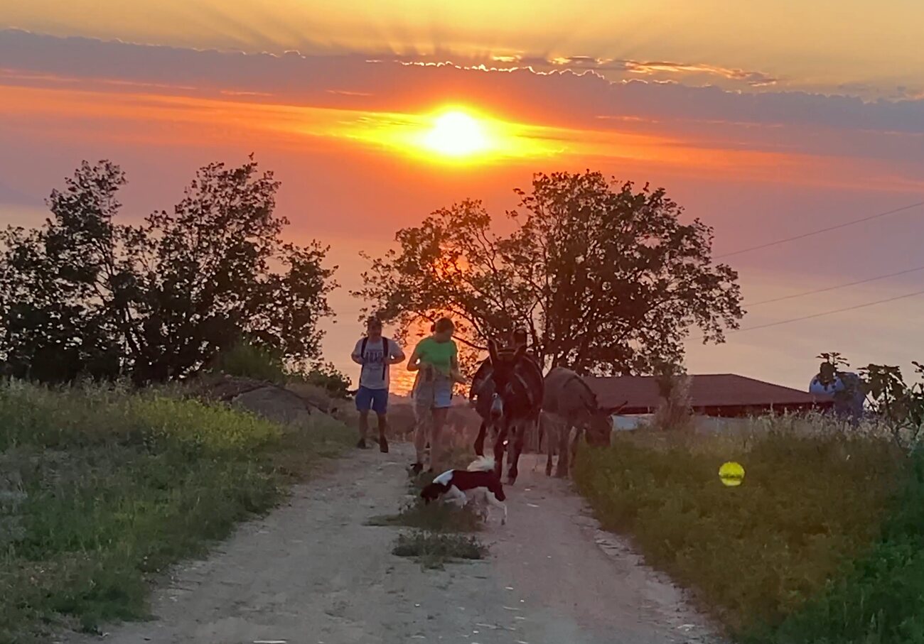Famiglia in cammino con un asino al tramonto verso la cena sotto le stelle — Family walking with a donkey at sunset towards dinner under the stars