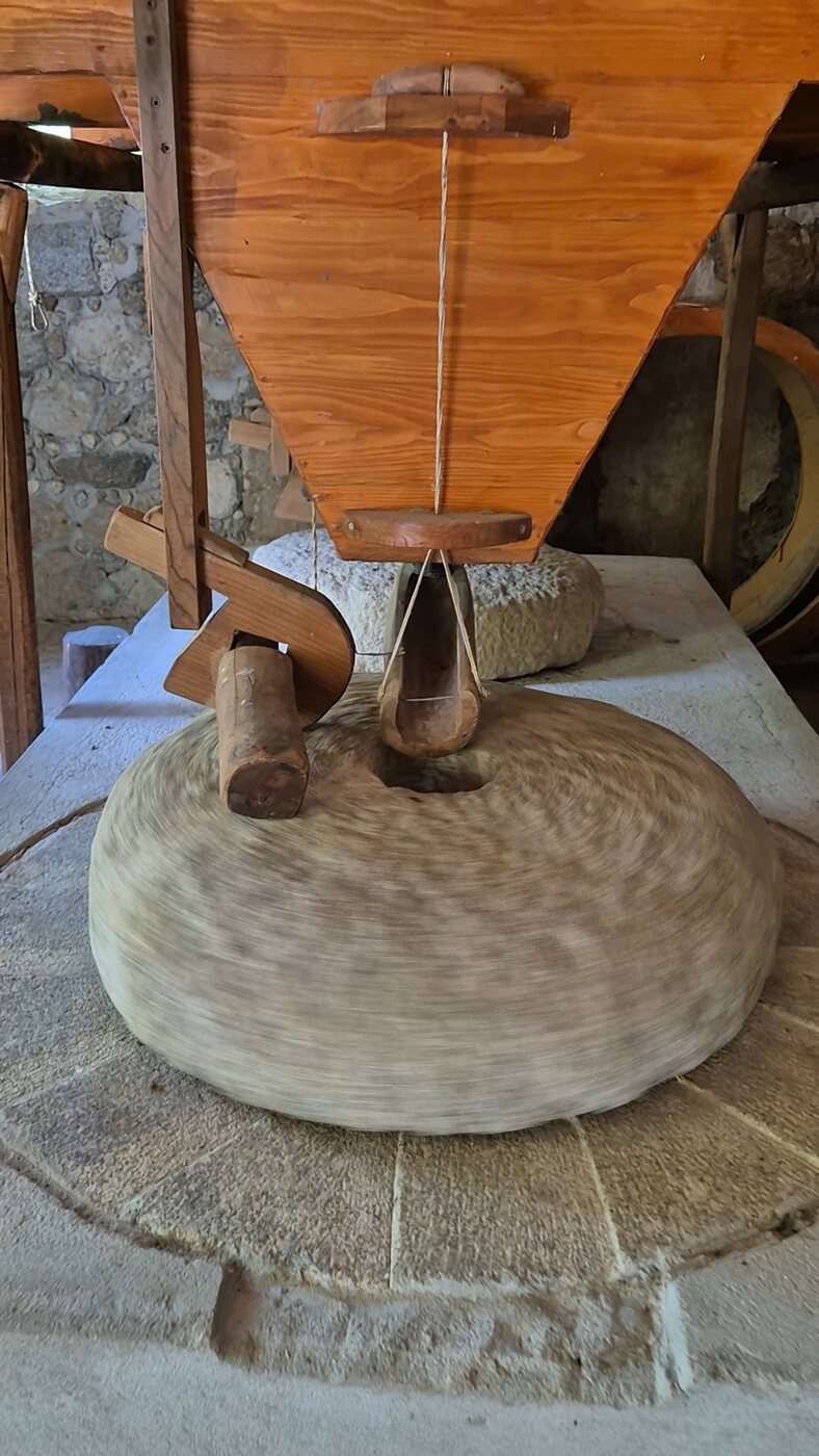 Una gallina sulla macina di pietra del mulino antico — A hen perched on the stone wheel of the old mill