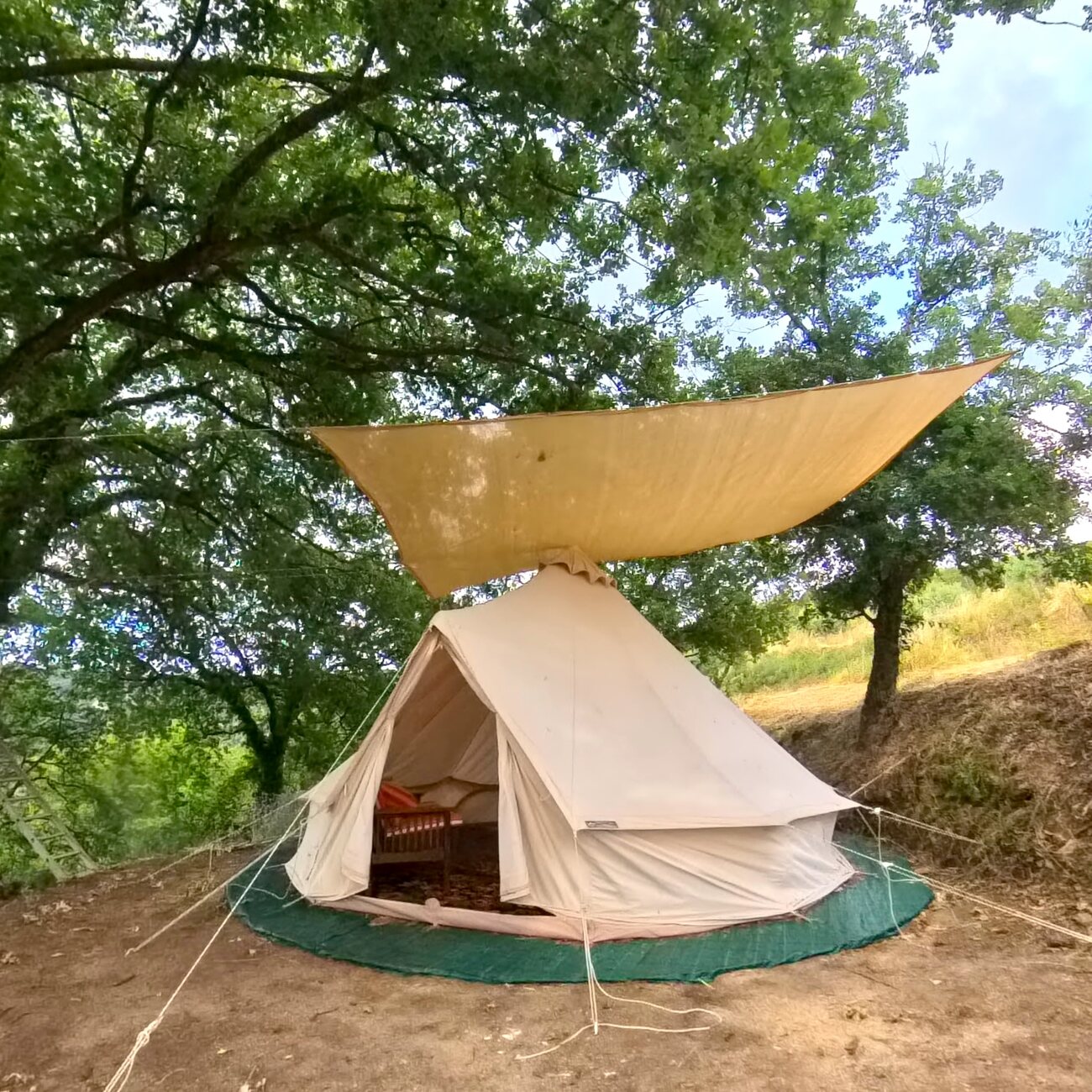 Tenda glamping bianca sotto una grande quercia nel giardino della fattoria — White glamping tent under a large oak in the farm garden