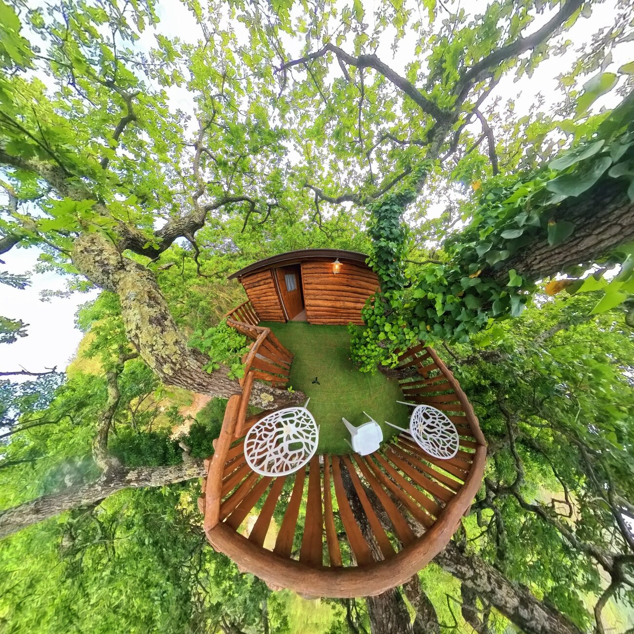 Casetta sull'albero in legno tra la vegetazione con vista sulle Isole Eolie — Wooden treehouse among the foliage with a view of the Aeolian Islands