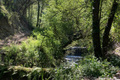 WhatsApp-Image-2025-06-02-at-19.52.09-1